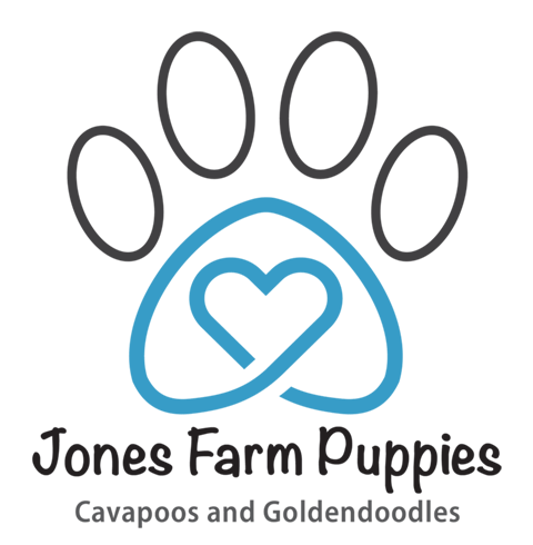 Amy Jones logo