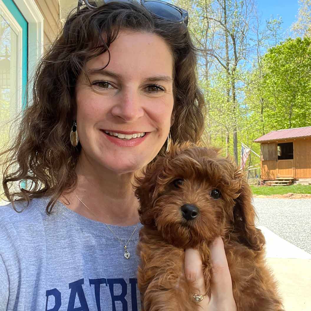 Amy Jones from Jones Farm Puppies holds a chocolate cavapoo