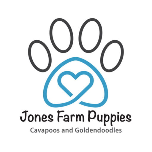 Hypoallergenic Cavapoos: Guide to Allergy-Friendly Living
