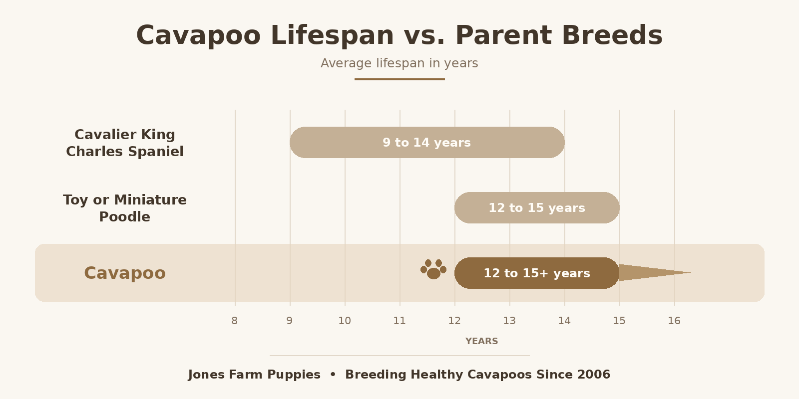 Cjart of the Cavapoo lifespan compared to its parent breeds