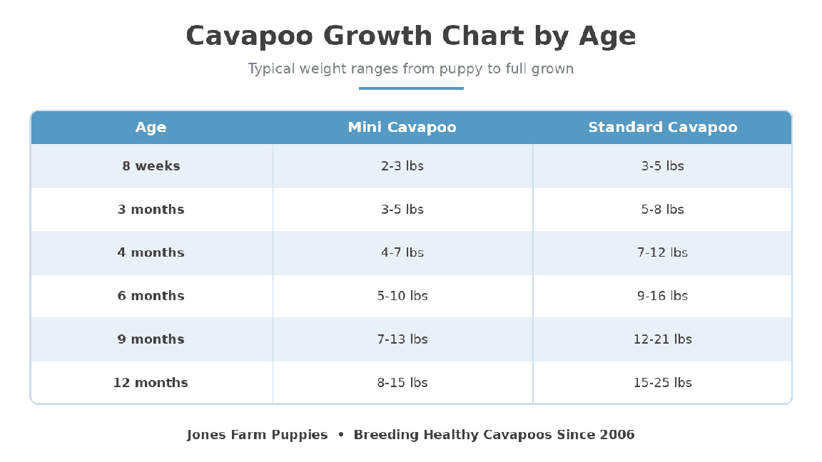 Cavapoo growth chart by age