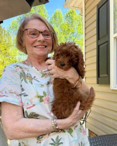 Woman holding a brown Cavapoo puppy outdoors