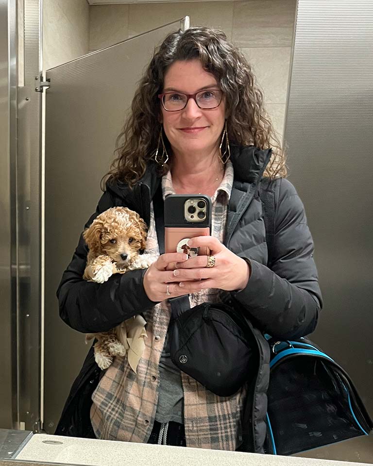 Owner of Jones Farm Puppies travelling with a Cavapoo puppy