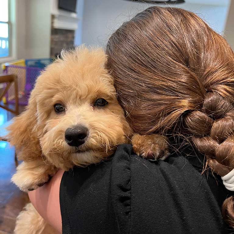 Woman from the back with a brown braid hugging a beige Cavapoo puppy