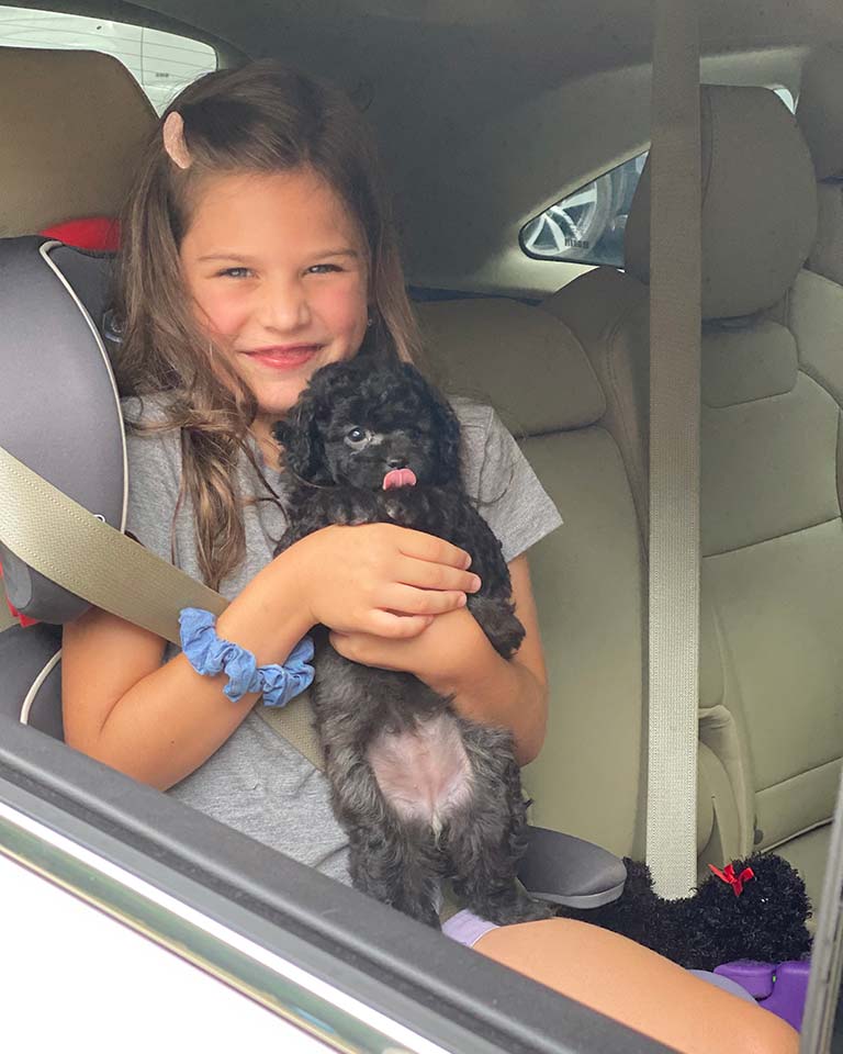 Young girl holding a Cavapoo puppy in her arms