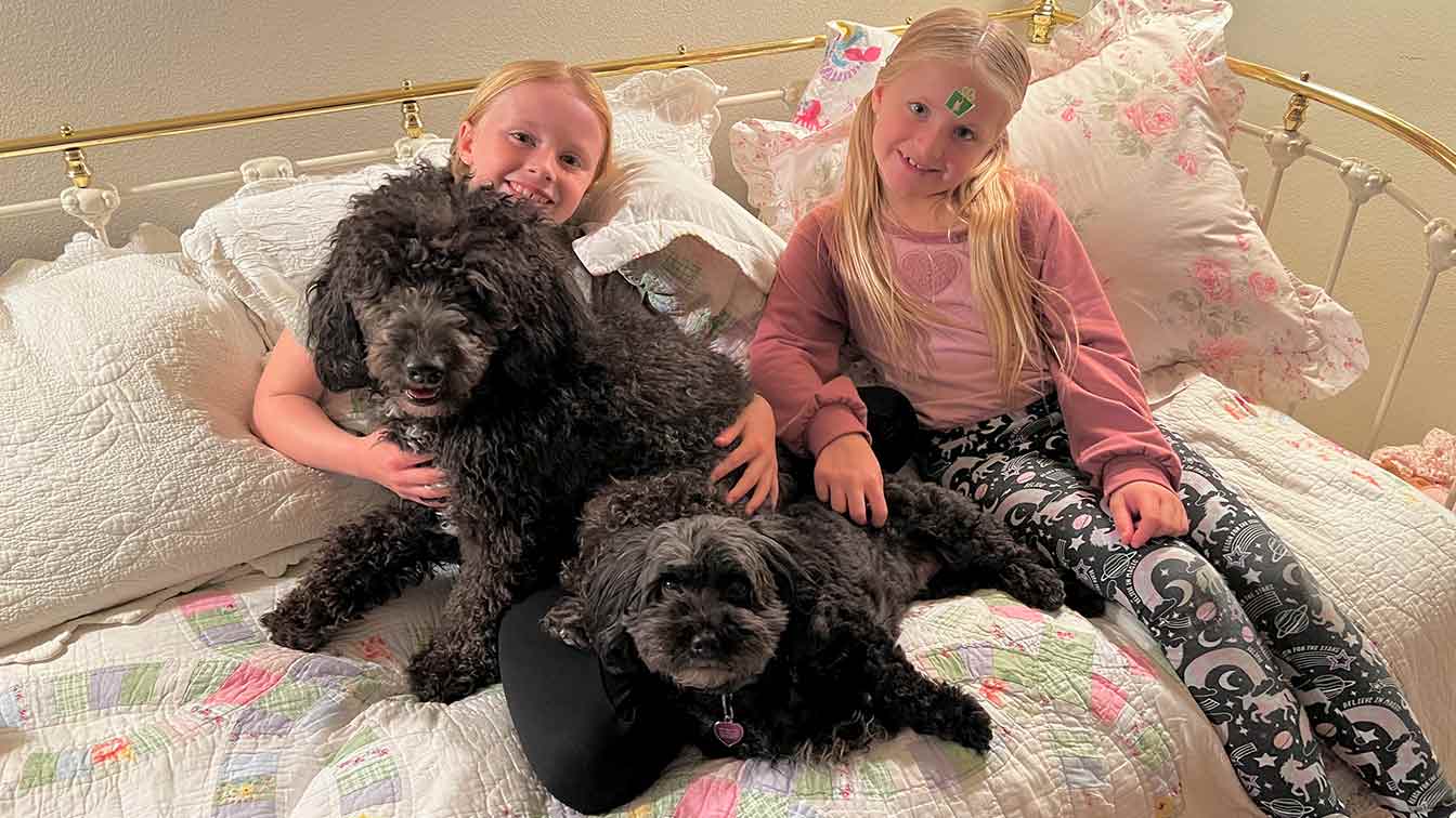 Two litlle girls sitting with two dogs on a couch