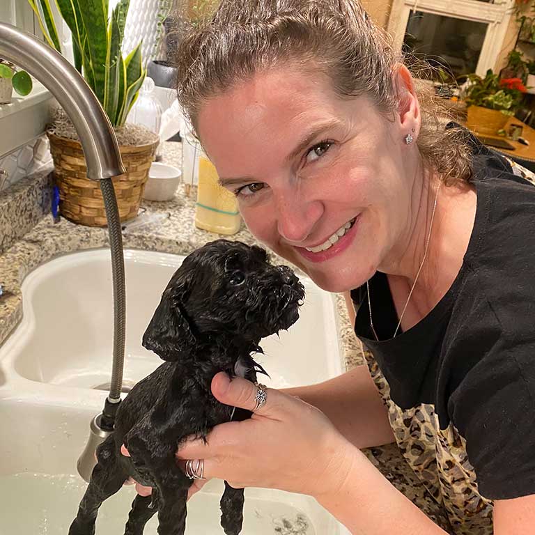 Jones Farm Puppies owner giving a bath to one of her black Cavapoos