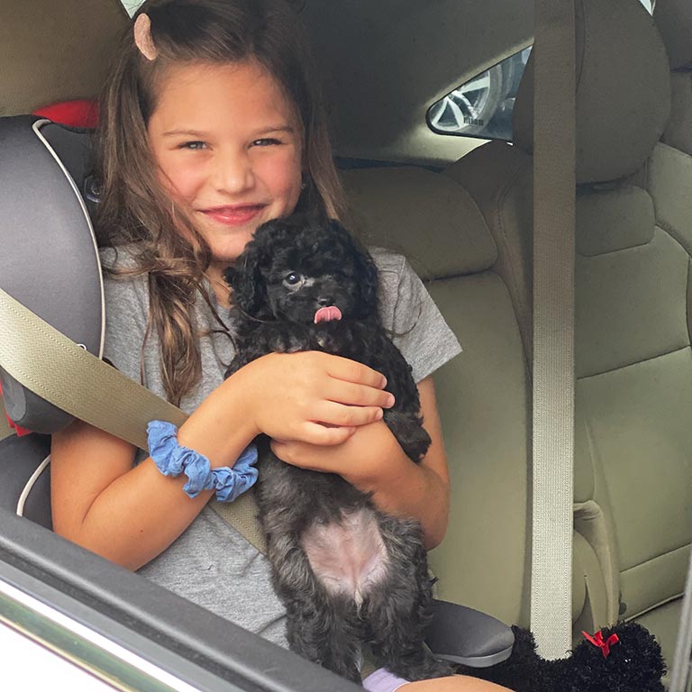 Young girl holding a black Cavapoo puppy