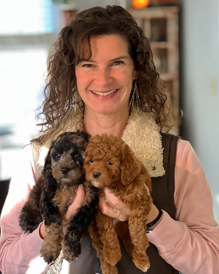 Owner of Jones Farm Puppies holding a black and a brown Cavapoo puppy