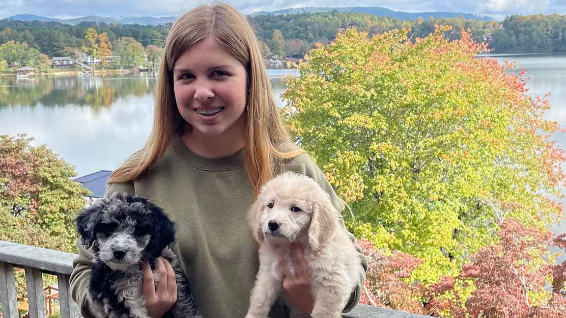 Young woman holding two Cavapoo puppies in her arms