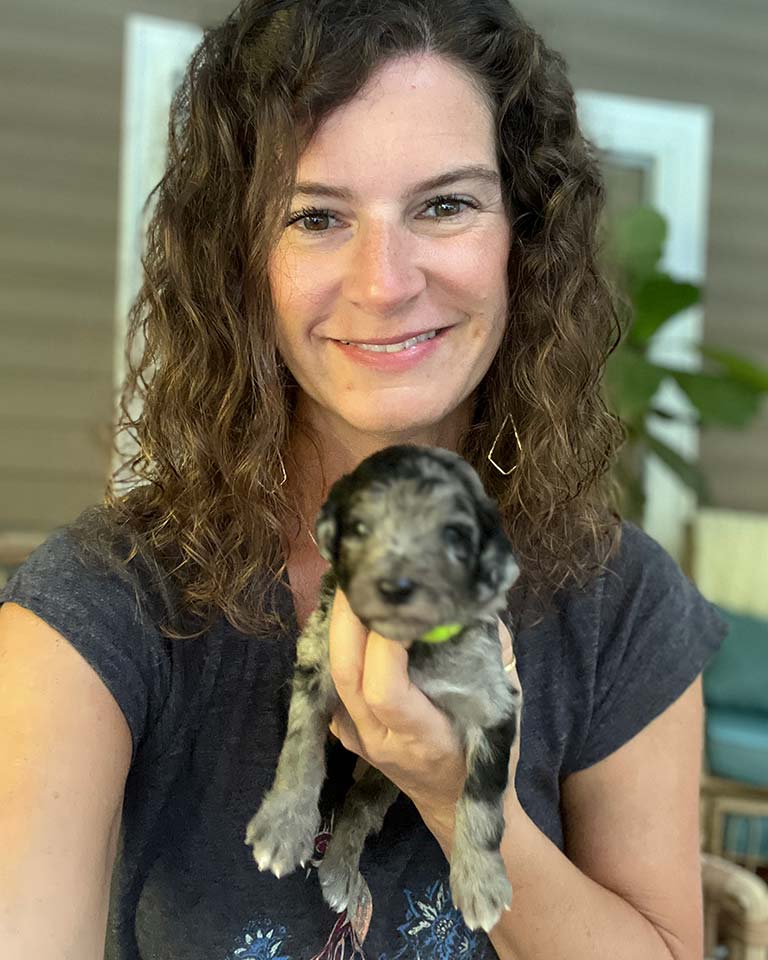 Owner of Jones Farm Puppies holding a merle Cavapoo puppy