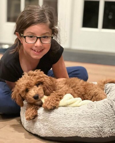 Young girl sitting next to a Cavapoo puppy laying down in a dog bed