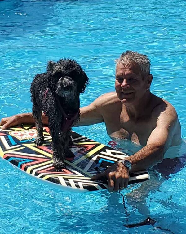 Black Cavapoo puppy standing on a board in a pool