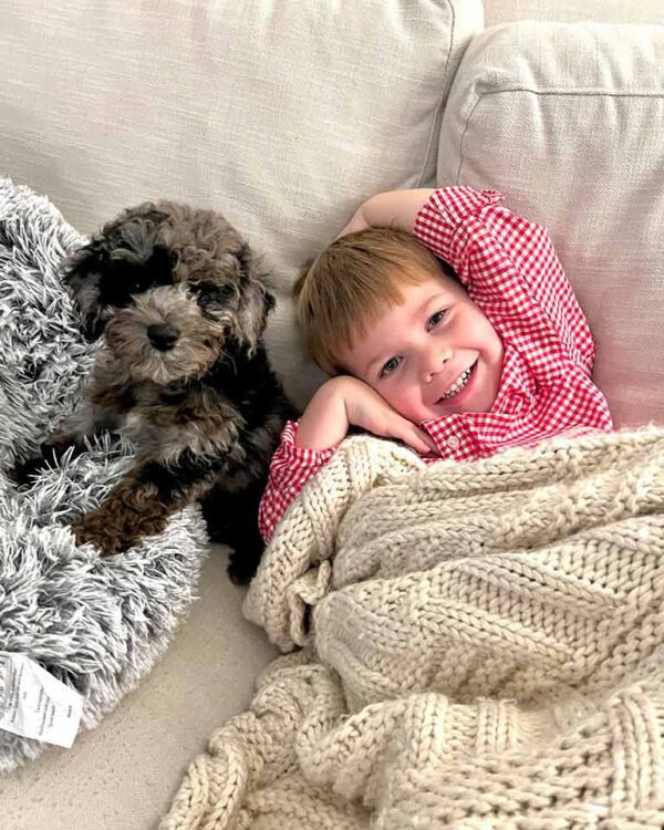 young boy laying down in a couch with a Cavapoo puppy