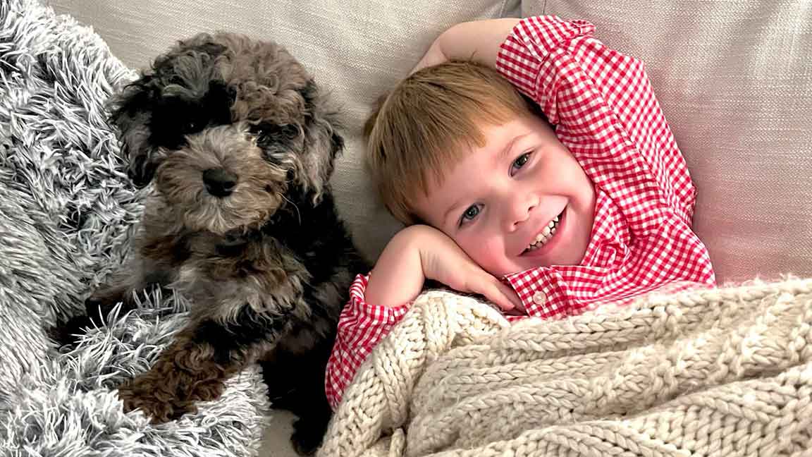 Young boy laying down in a couch with a Cavapoo puppy