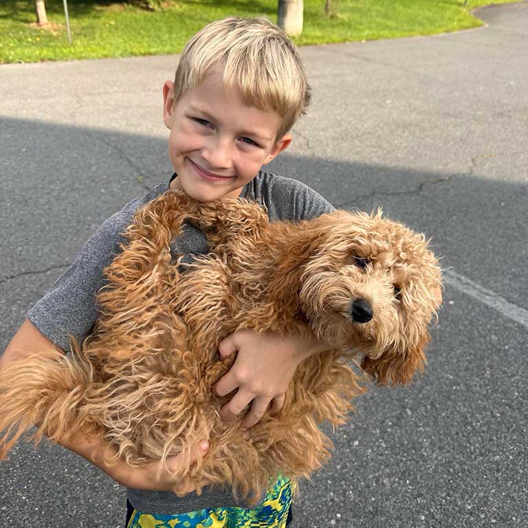 Young boy holding a Cavapoo in his arms