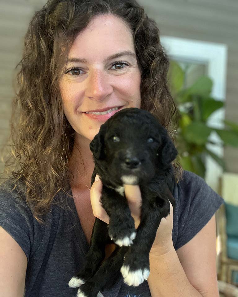 Owner of Jones Farm Puppies holding a black and white Cavapoo puppy