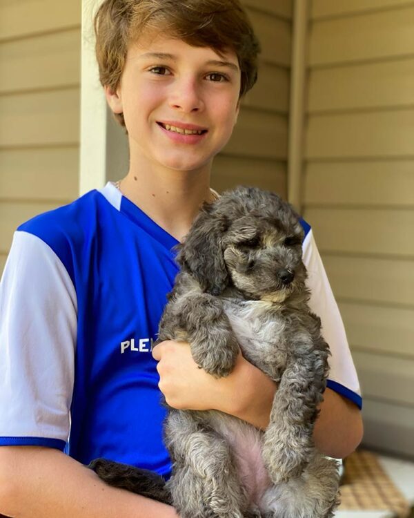 Boy holding a Cavapoo puppy in his arms