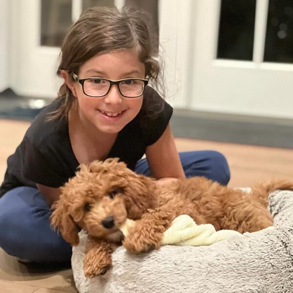 Young girl sitting doan next to a Cavapoo puppy laying down in a dog bed