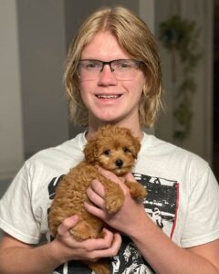 Boy holding Cavapoo puppies for sale