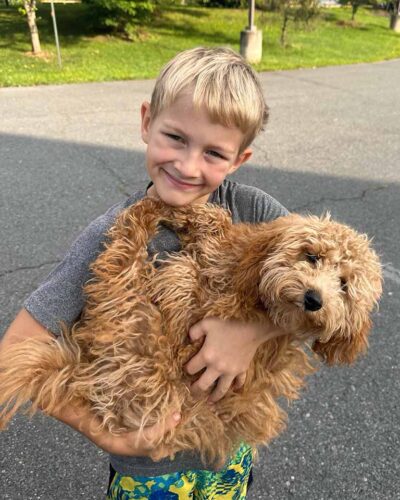 Young boy carrying a Cavapoo in his arms