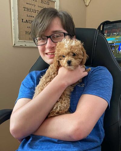 Boy holding a cream Cavapoo in his arms