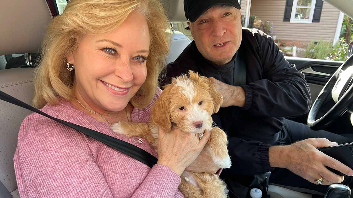 couple in a car with a Cavapoo, one of the small dogs that don't bark or shed
