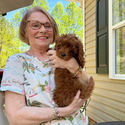 Woman holding a brown Cavapoo in her arms