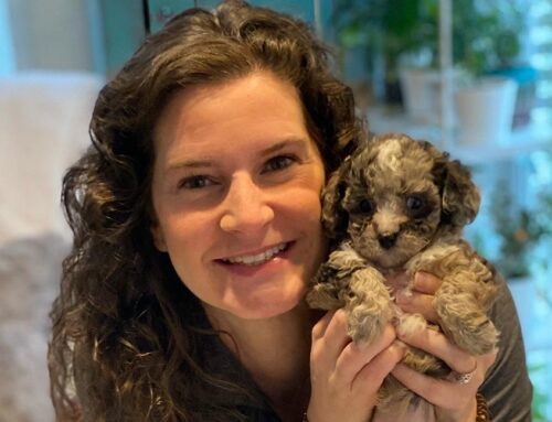 Why Does My Dog Lick So Much: Expert Breeder Guide