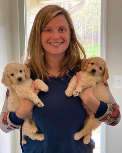 Woman holding two Cavapoo puppies