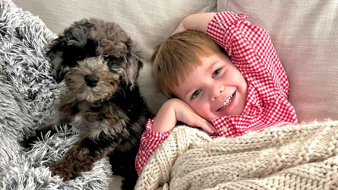 Child laying in bed with a Cavapoo puppy