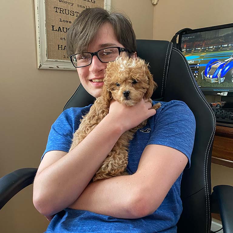 Teenager holding a Cavapoo puppy in his arms
