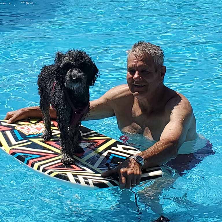 Adult black Cavapoo standing on top of a board in the pool