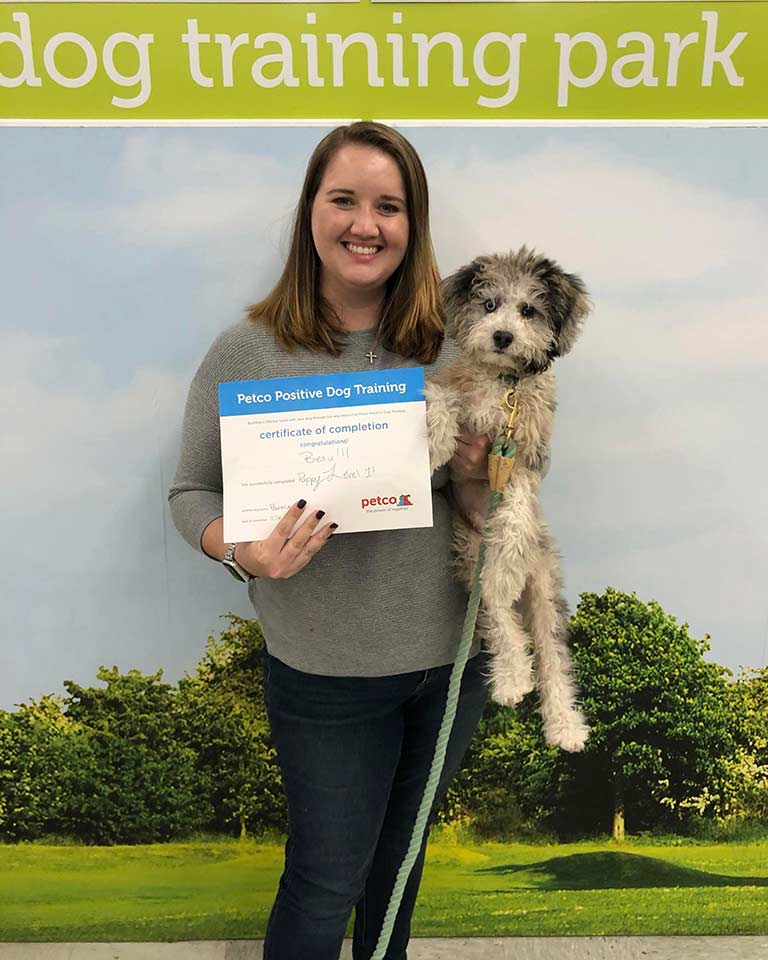 Cavapoo and owner at a competition, holding a certificate for positive dog training