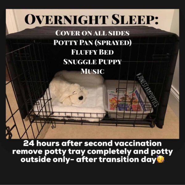 Picture on how to train your dog with overnight sleeping in a crate.