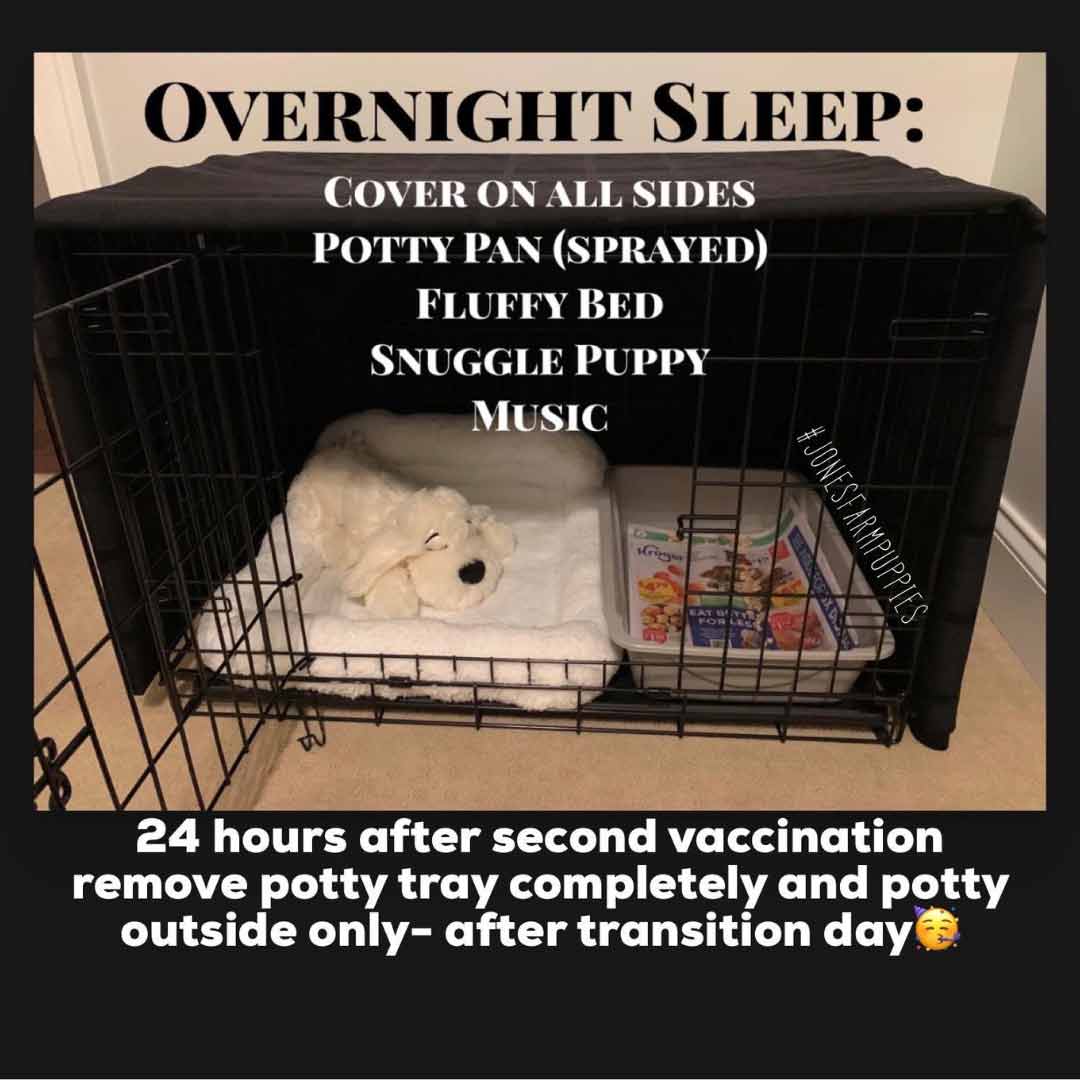 Picture on how to train your dog with overnight sleeping in a crate.