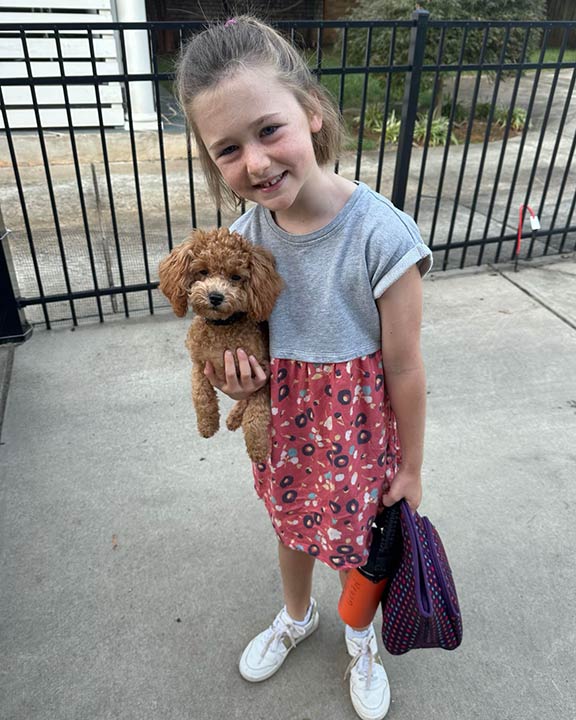 A smiling young girl in a gray and pink dress holds a small brown poodle puppy, helping with its early socialization, as she stands on a sidewalk near a metal fence, also carrying a purple bag and an orange water bottle.