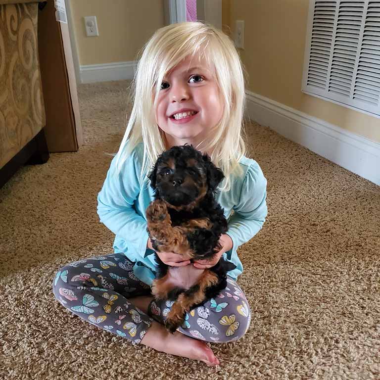 A young girl with blonde hair sits cross-legged on a carpet, smiling and holding a small black and brown puppy in her lap—a heartwarming moment of early socialization, as she gently bonds with her new furry friend.